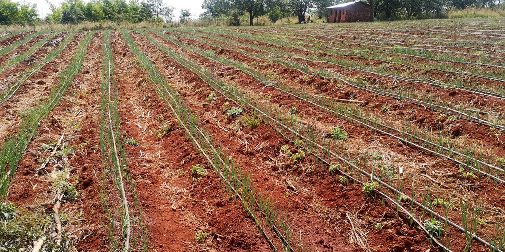 Solar-powered irrigation system in rural Tanzania